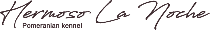 Hermoso La Noche - Pomerániai kennel